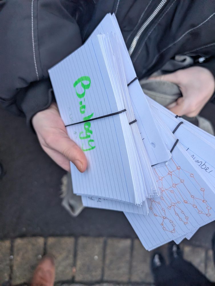 Student holding bundles of biology flashcards