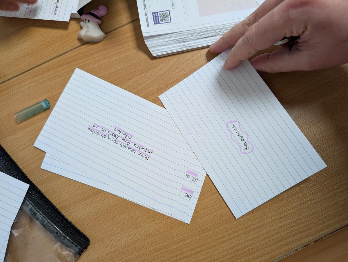 Handwritten revision flashcards on a desk